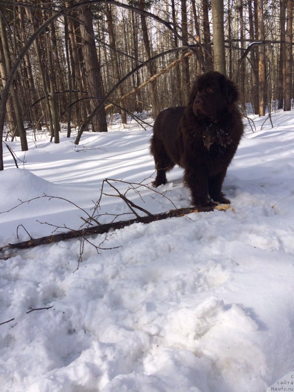 Фотография № 204249