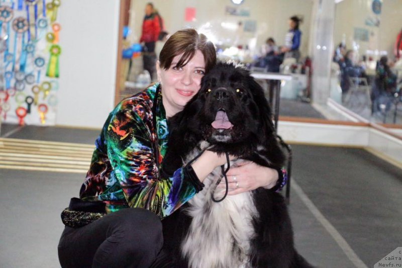 Фото: ньюфаундленд Everiya ot Sibirskogo Medvedya (Еверия от Сибирского Медведя), Aleksandra Providoshina (Александра Провидошина)