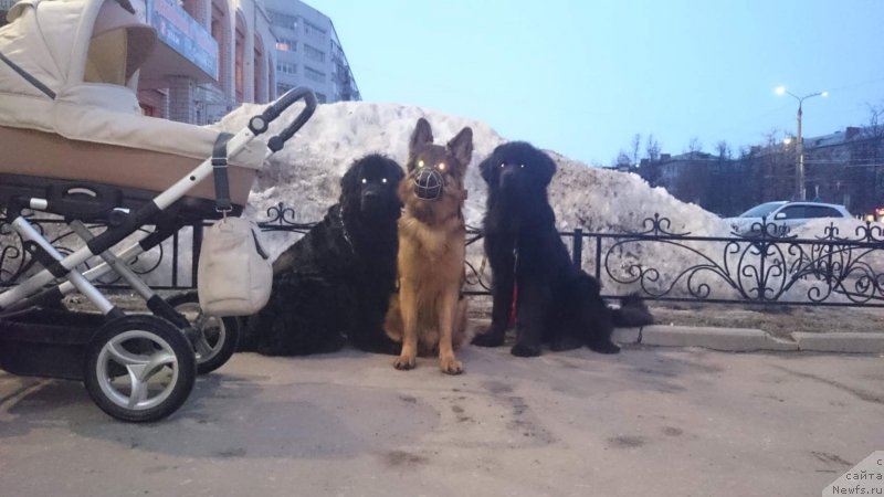 Фотография № 204267