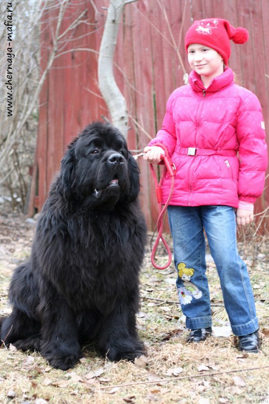 Фотография № 204274