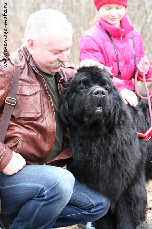 Фотография № 204279