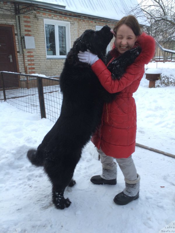 Фото: Andrey Panferov (Андрей Панферов)