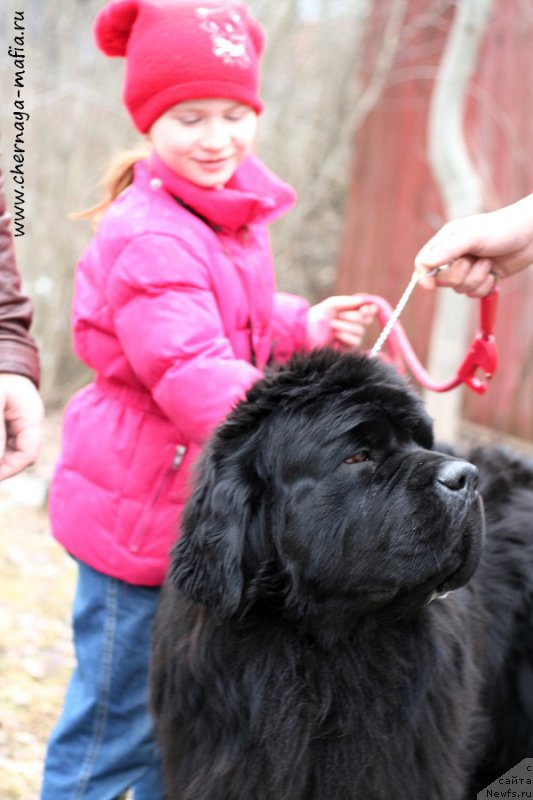 Фотография № 204286