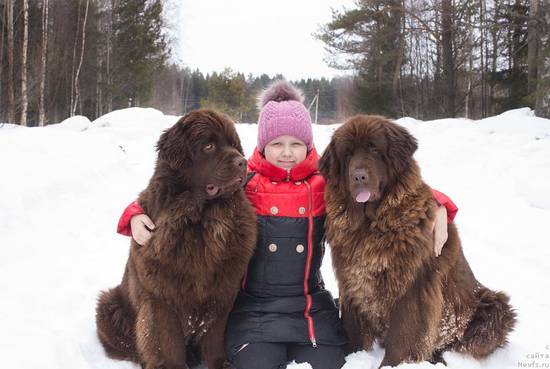 Фотография № 204288