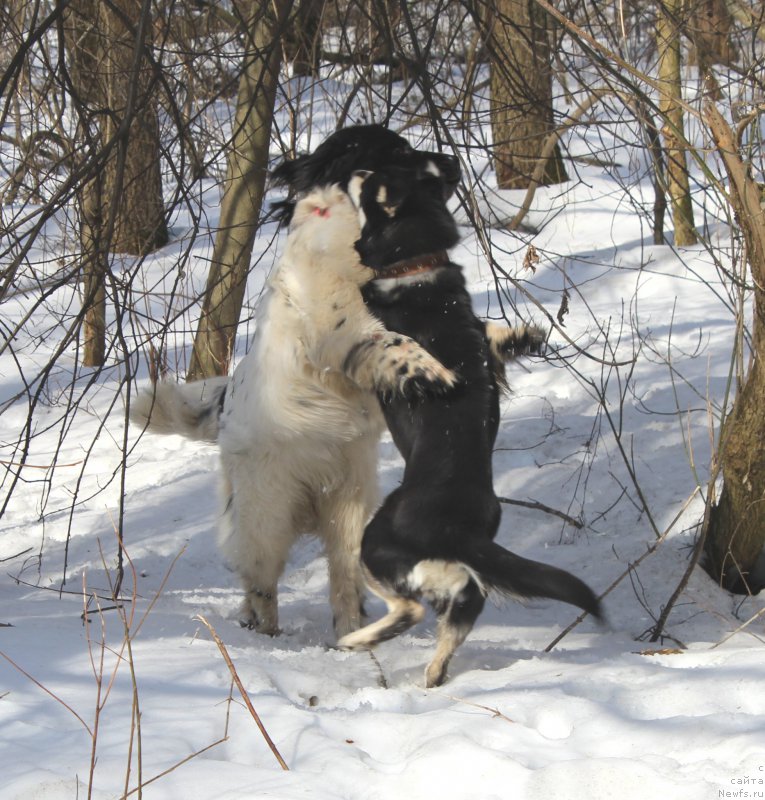 Фотография № 204290