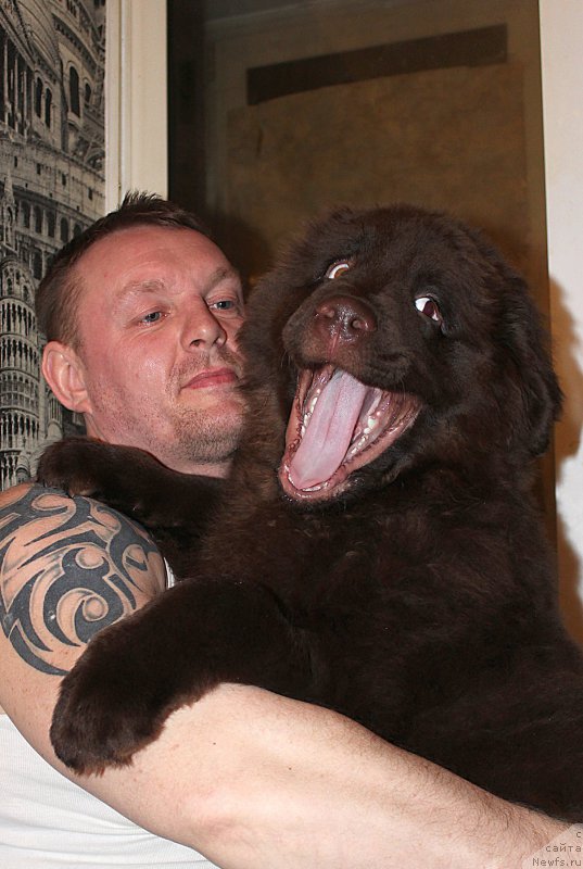 Фотография № 204296