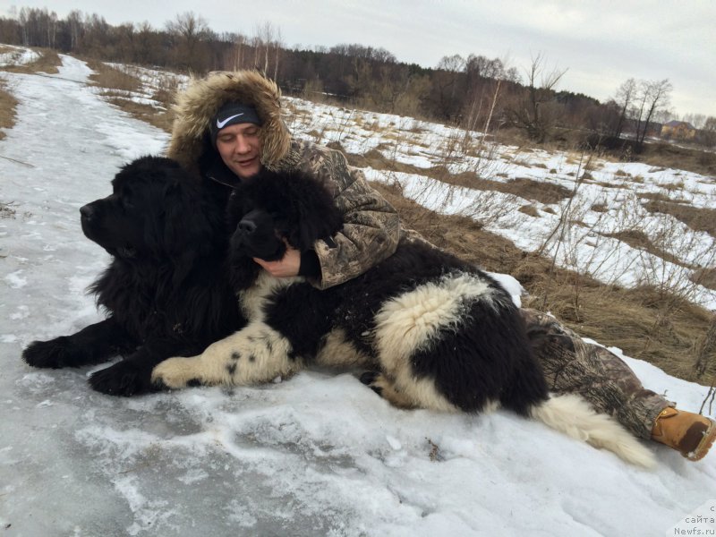 Фотография № 204299