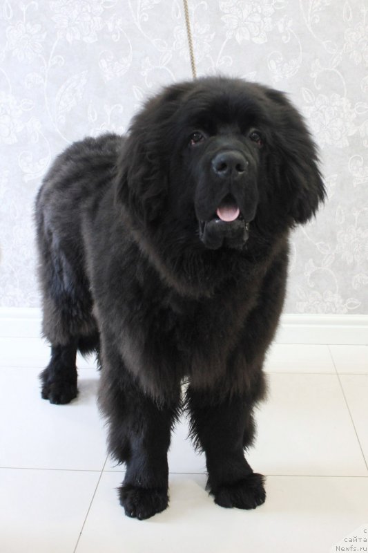 Фотография № 204326