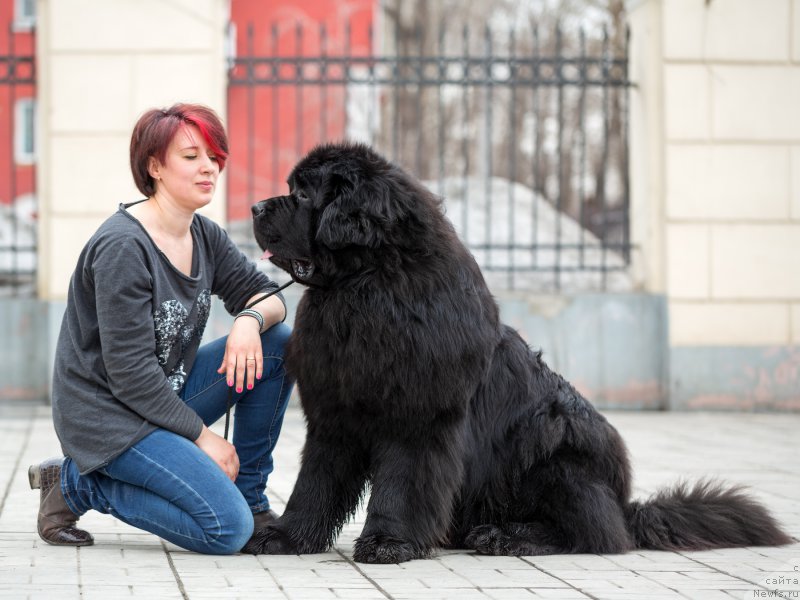 Фотография № 204339