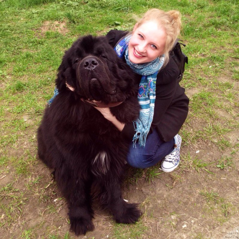 Фотография № 204358