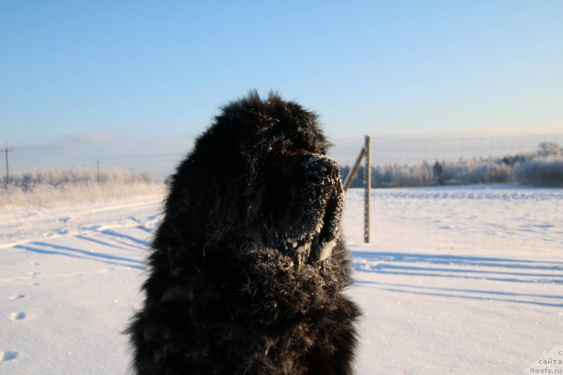 Фотография № 204359