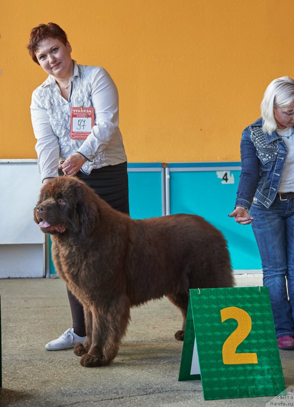 Фотография № 204364