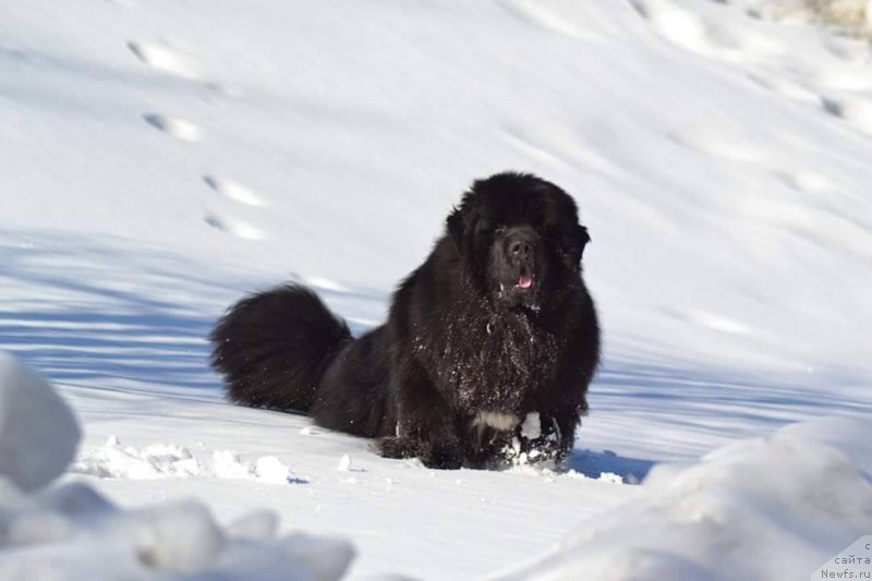 Фотография № 204370