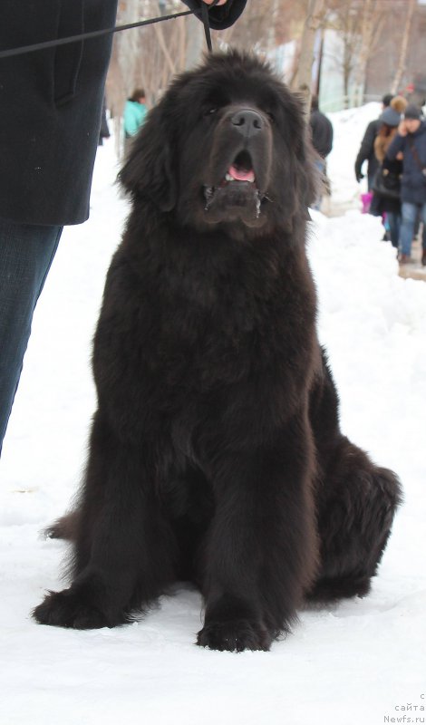 Фотография № 204371