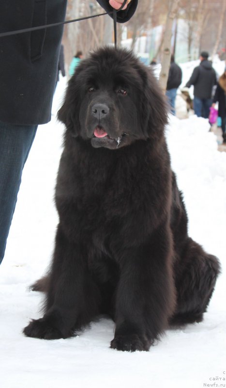 Фотография № 204372