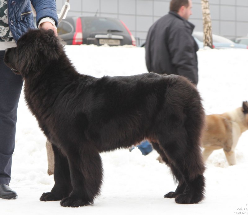 Фотография № 204377