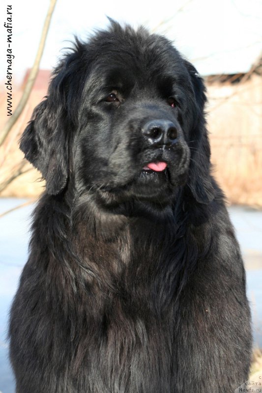 Фотография № 204384