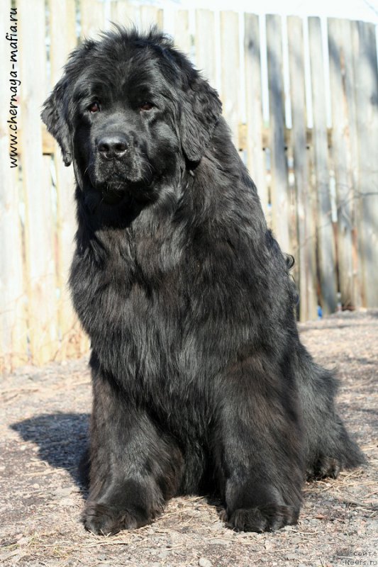 Фотография № 204389