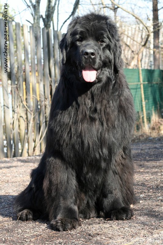 Фотография № 204390