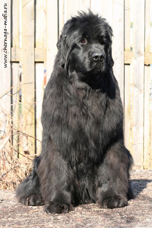 Фотография № 204393