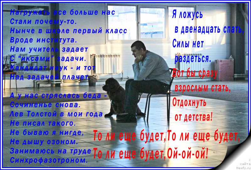 Фото: ньюфаундленд Braunblad MSK Syemmi Less (Браунблад МСК Сэмми Лесс), Aleksandr Korotaev (Александр Коротаев)