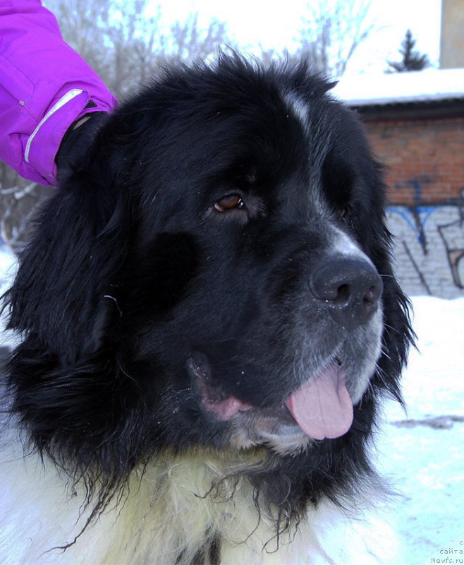 Фотография № 204445