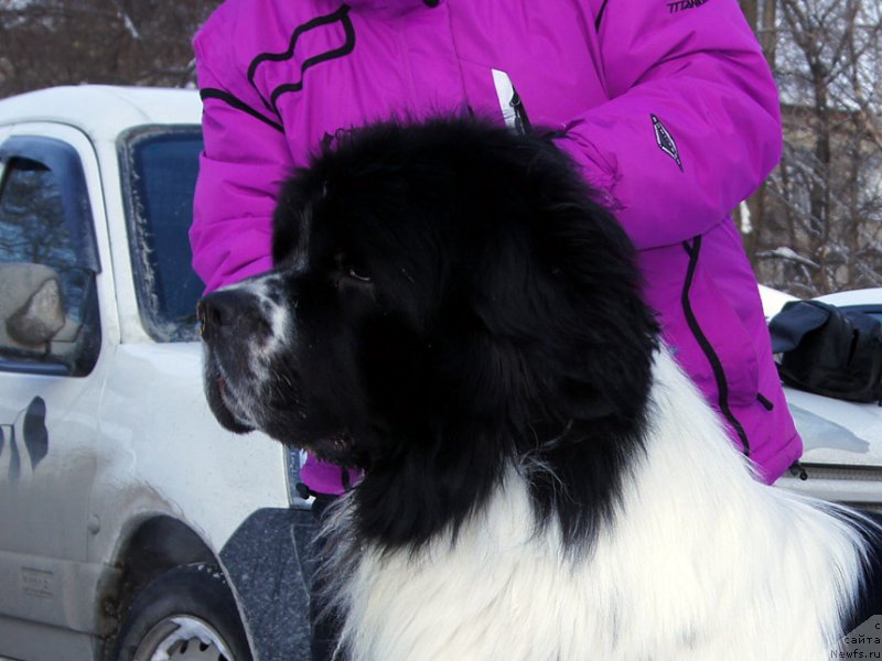 Фотография № 204448