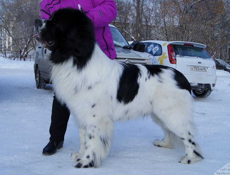 Фотография № 204449