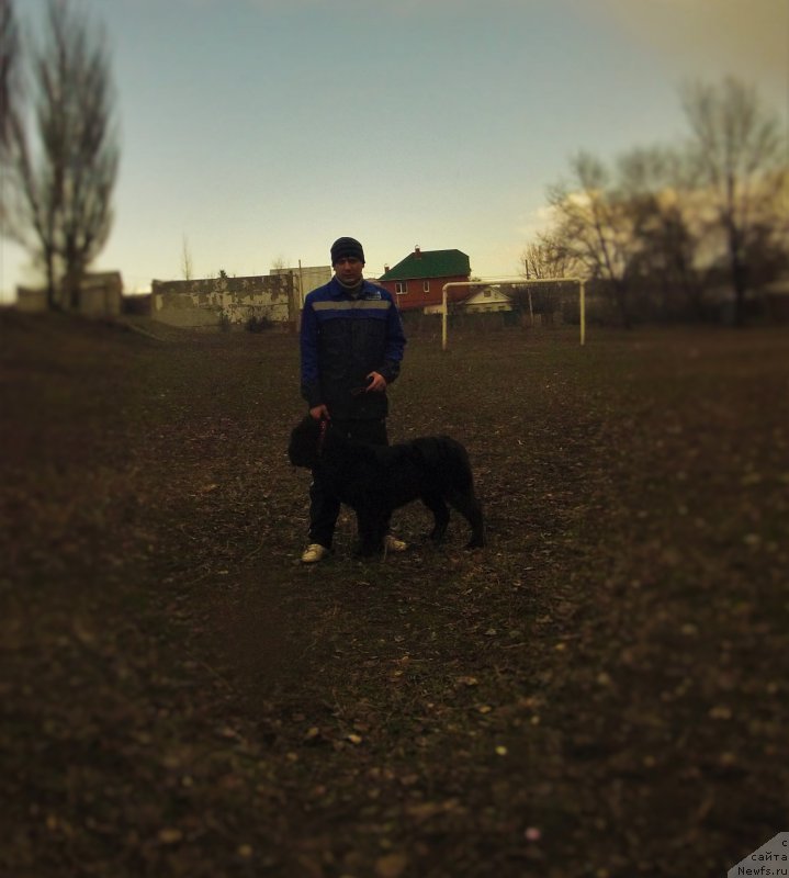 Фотография № 204451