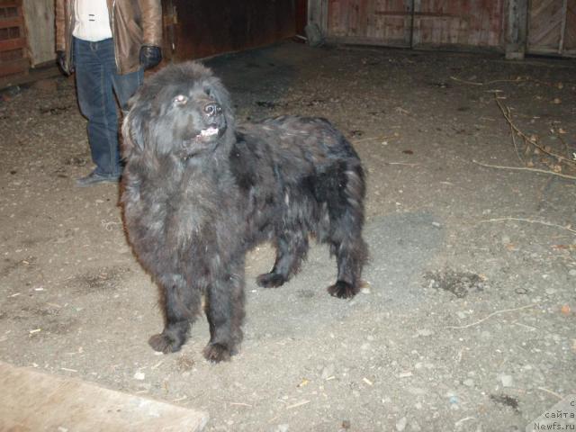 Фотография № 20448