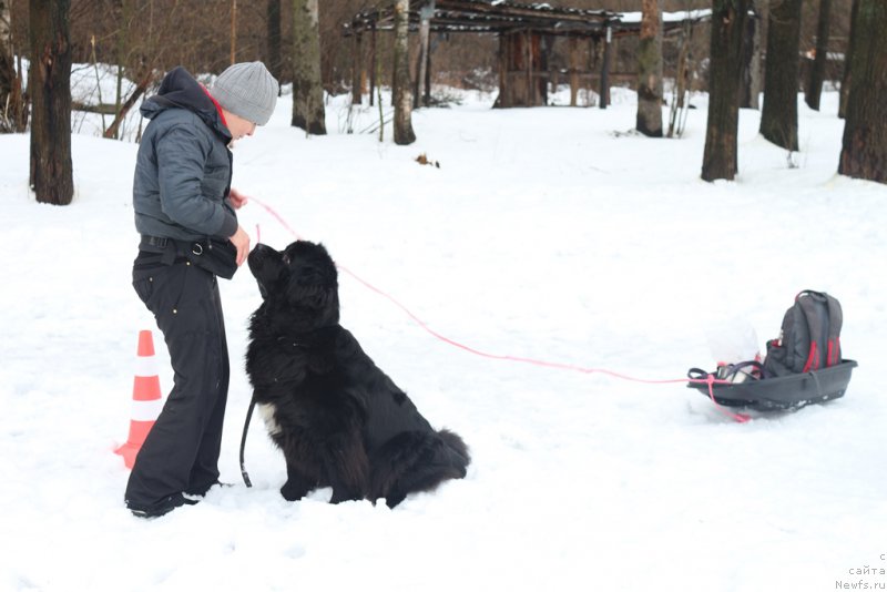 Фотография № 204493