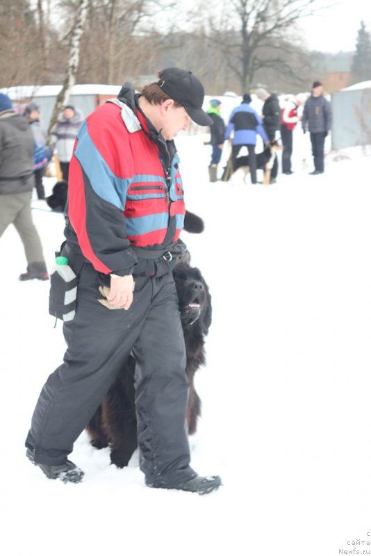 Фотография № 204494