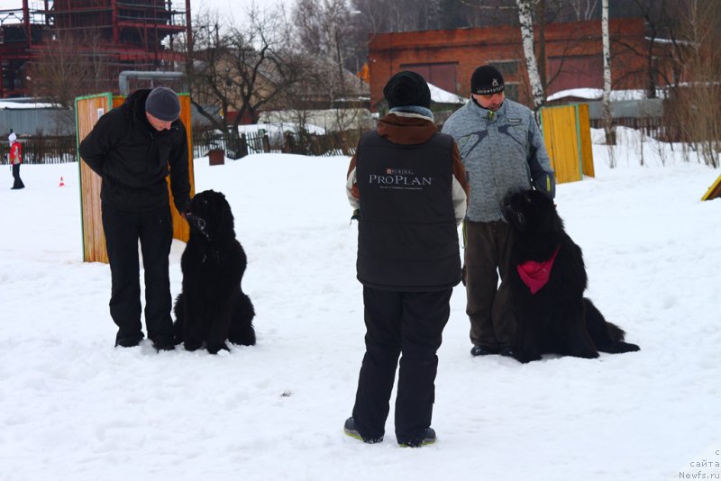 Фотография № 204495