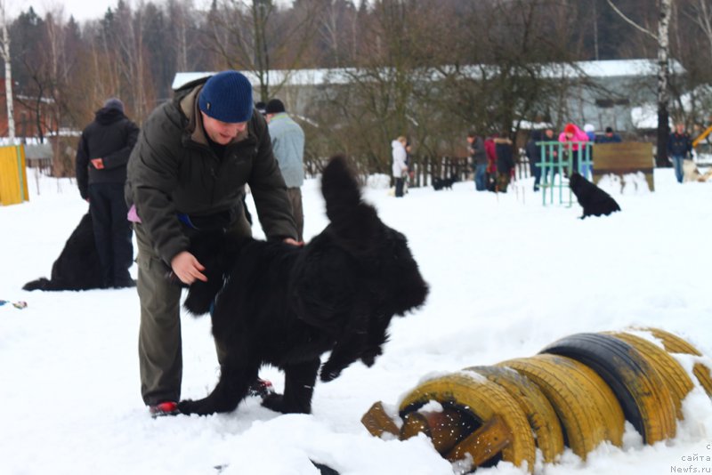 Фото: Aleksandr Ponomaryov (Александр Пономарёв), 
