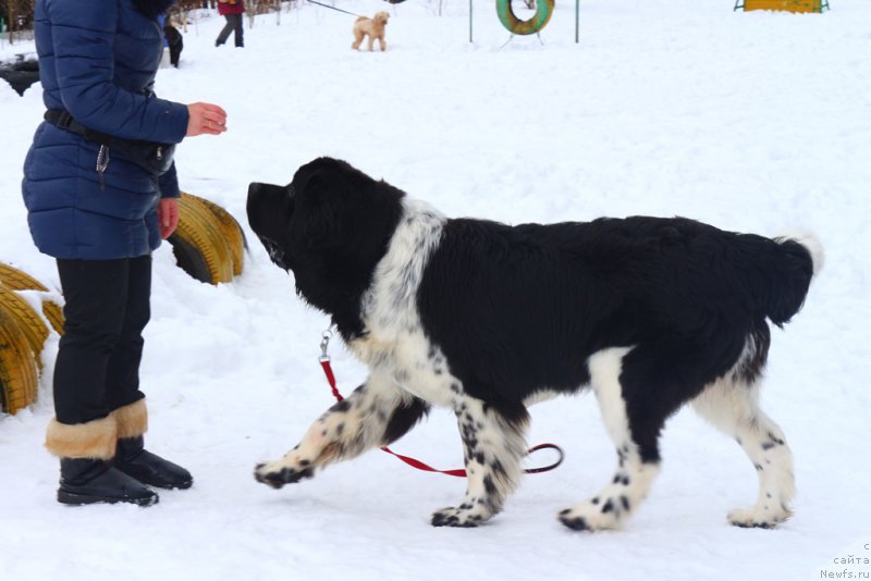 Фотография № 204497