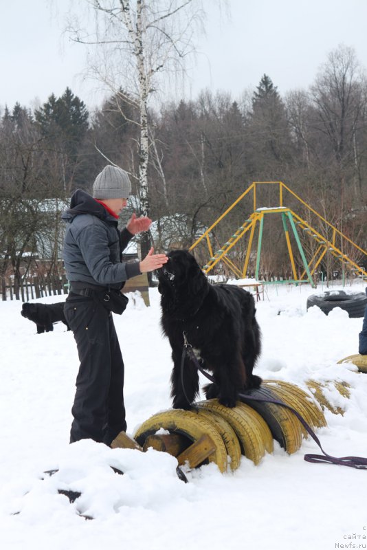 Фотография № 204503