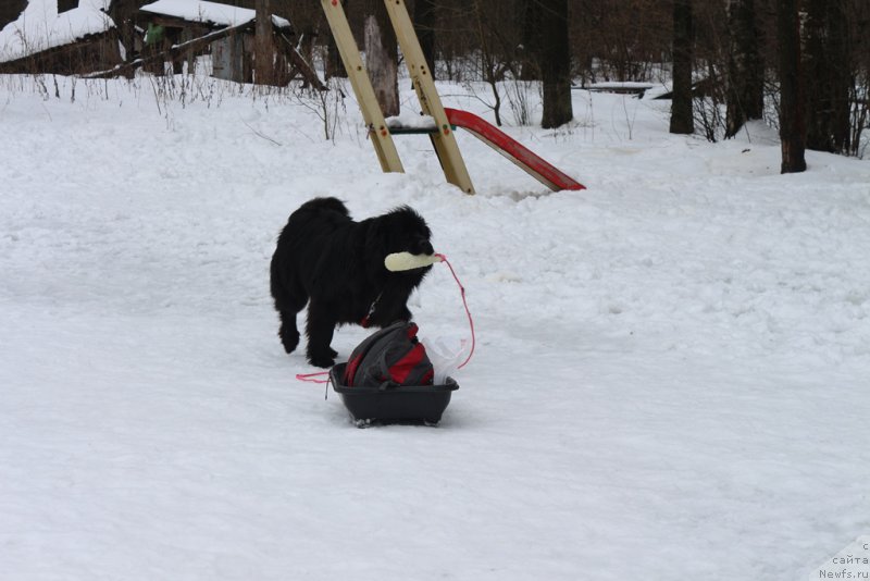 Фотография № 204504