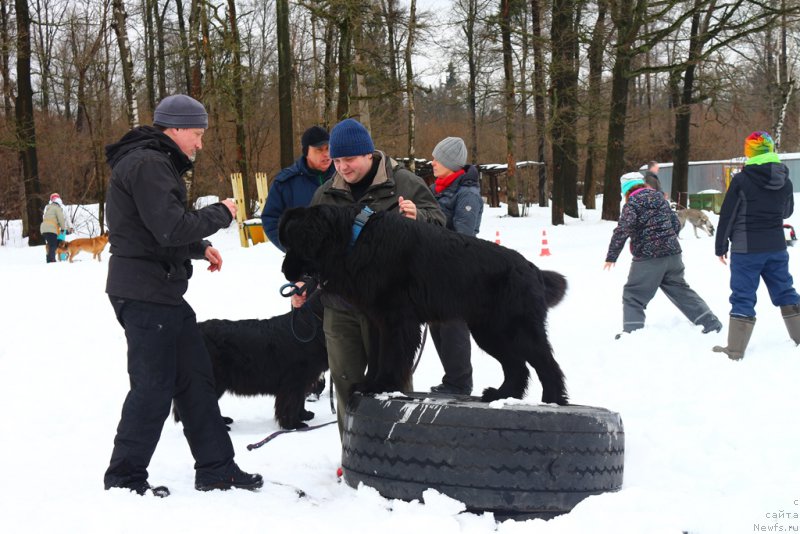 Фото: Aleksandr Ponomaryov (Александр Пономарёв), 