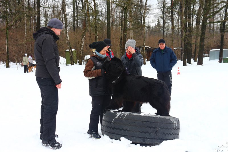 Фотография № 204507