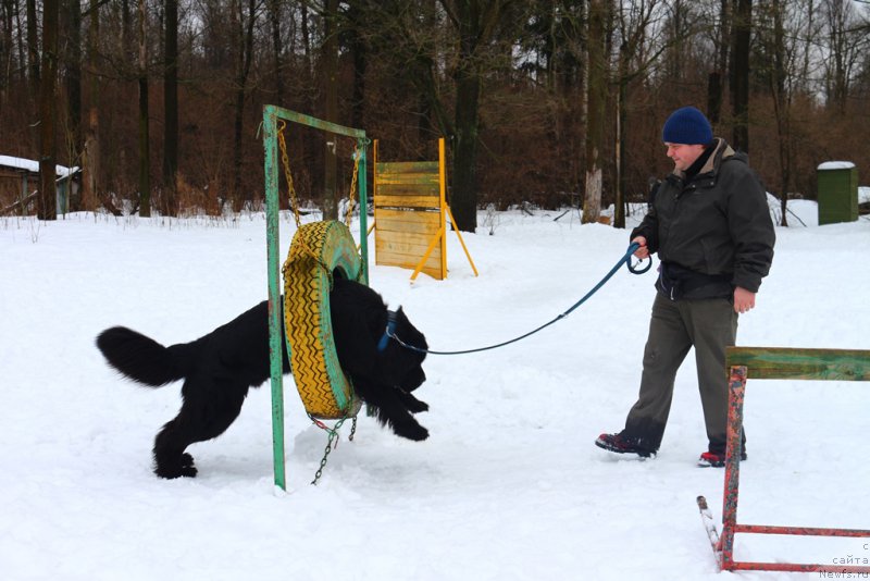 Фото: Aleksandr Ponomaryov (Александр Пономарёв), 