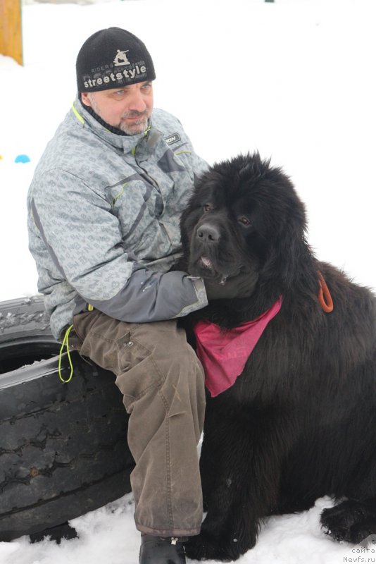 Фотография № 204510