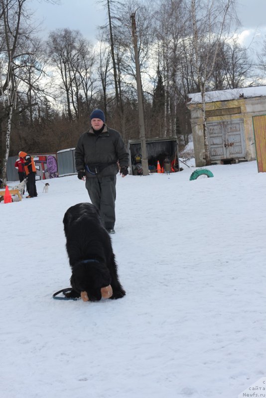 Фотография № 204520