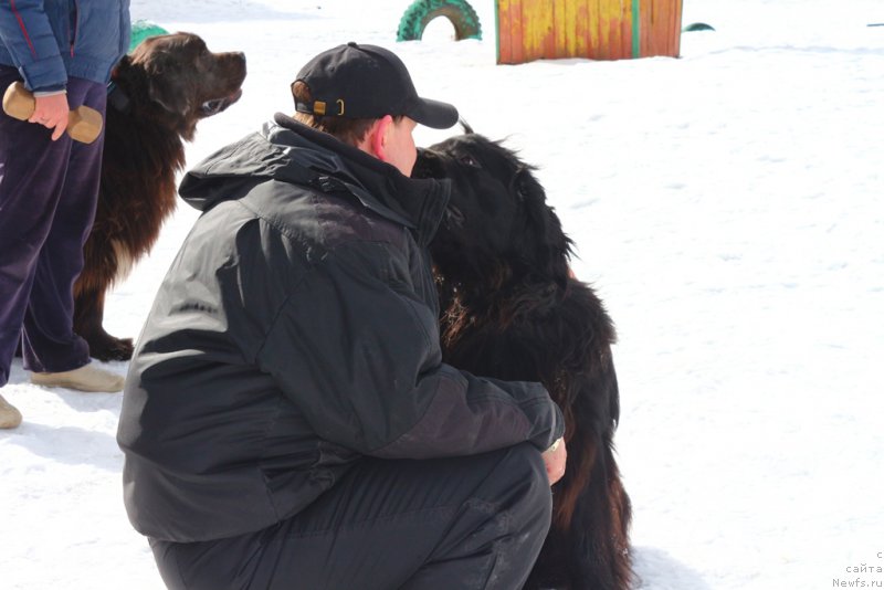 Фотография № 204527