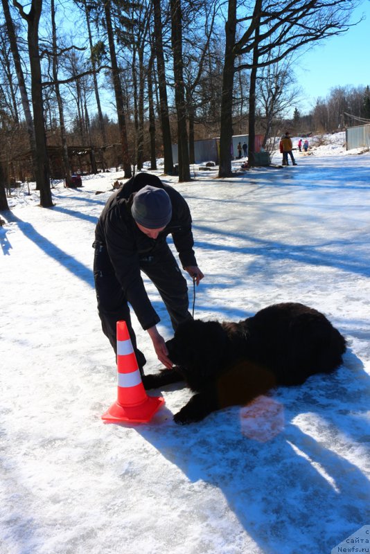 Фотография № 204532