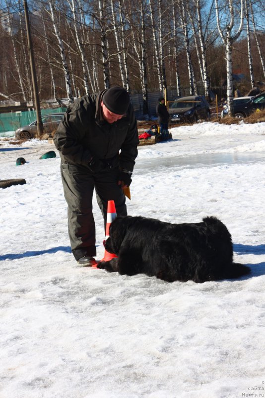 Фотография № 204535