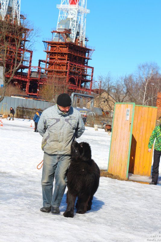 Фотография № 204537