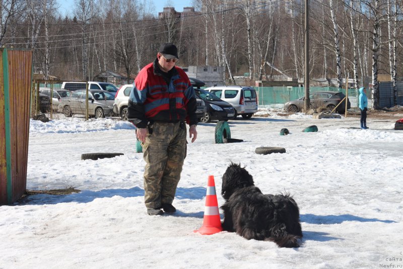 Фотография № 204538