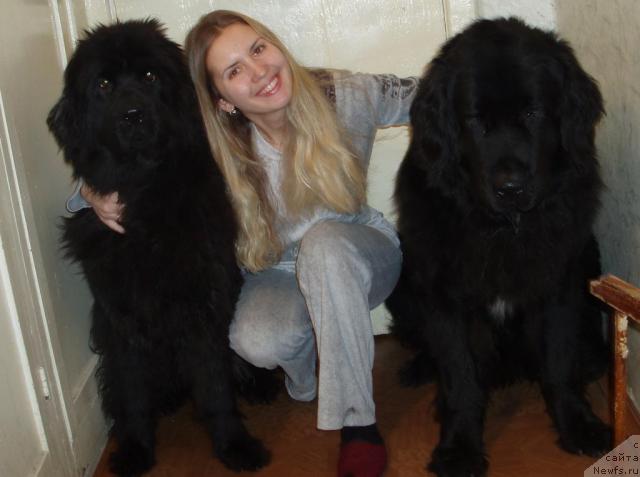 Фото: ньюфаундленд Aleks Dikson (Алекс Диксон), Aleksandra Kanunnikova (Александра Канунникова), ньюфаундленд Mag Ispolin Kopperfil'd (Маг Исполин Копперфильд)