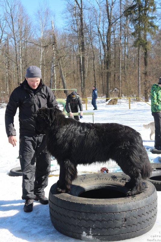 Фотография № 204540