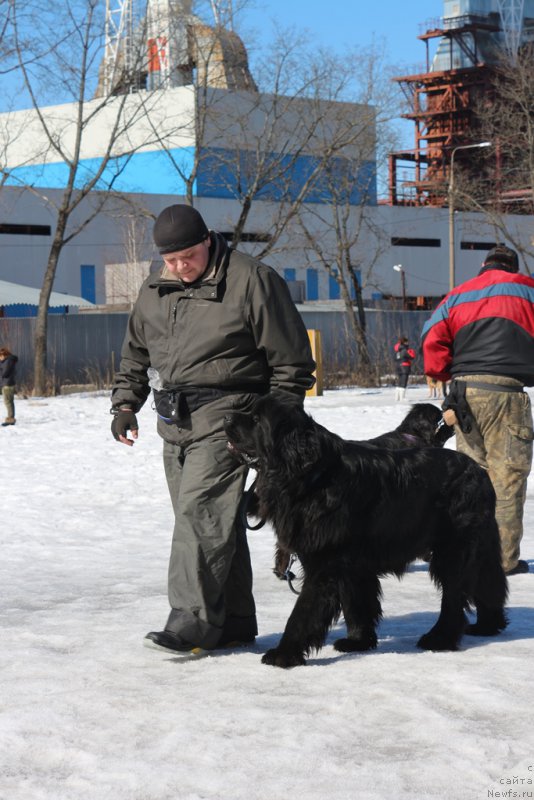 Фотография № 204544